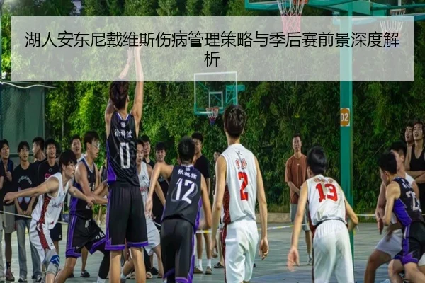 湖人安东尼戴维斯伤病管理策略与季后赛前景深度解析
